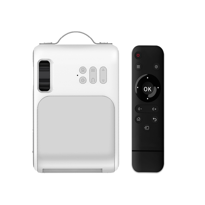 Mini Projector (3)